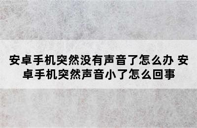 安卓手机突然没有声音了怎么办 安卓手机突然声音小了怎么回事